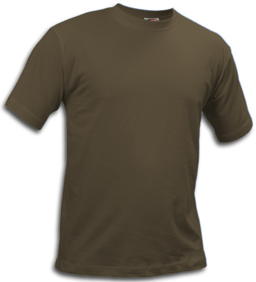 St. Louis T-shirt