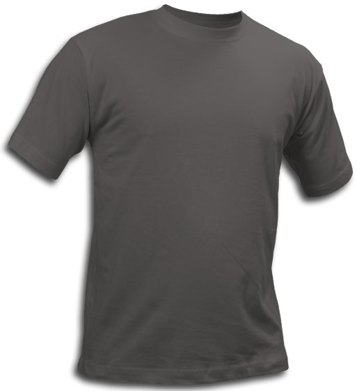 St. Louis T-shirt