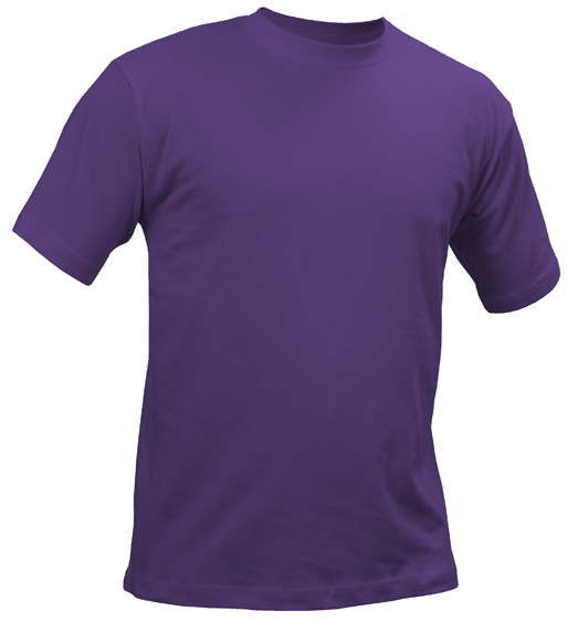 St. Louis T-shirt
