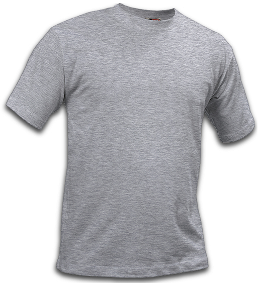 St. Louis T-shirt