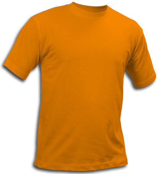 St. Louis T-shirt
