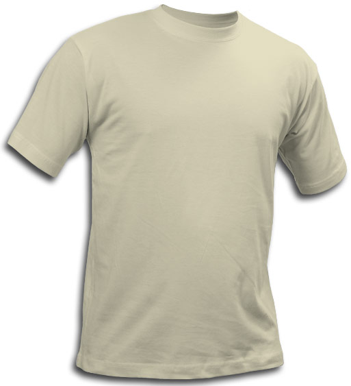 St. Louis T-shirt