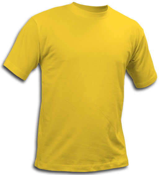 St. Louis T-shirt